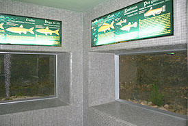 Vista parcial de la sala de acuarios